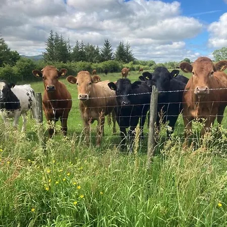 Ferienhaus Cragside Troutbeck (Eden)